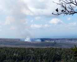 View of Kilauea from steam vents overlook